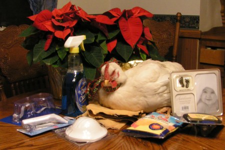 MINOLTA DIGITAL CAMERA