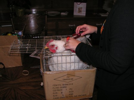 MINOLTA DIGITAL CAMERA